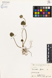 SW_BNB_s3080-04217_IMG-0000000001
