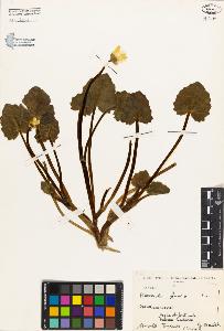 SW_BNB_s3080-04218_IMG-0000000001
