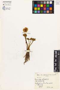 SW_BNB_s3080-04221_IMG-0000000001