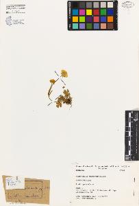 SW_BNB_s3080-04223_IMG-0000000001