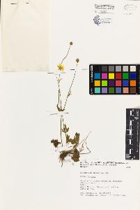 SW_BNB_s3080-04225_IMG-0000000001