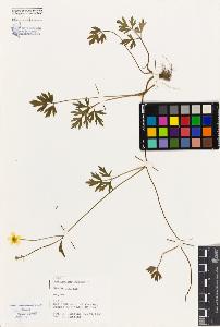 SW_BNB_s3080-04230_IMG-0000000001