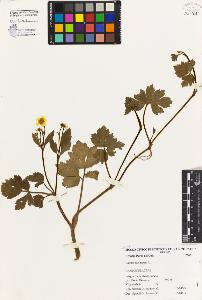 SW_BNB_s3080-04231_IMG-0000000001