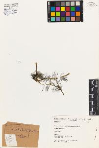 SW_BNB_s3080-04235_IMG-0000000001