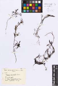 SW_BNB_s3080-04236_IMG-0000000001