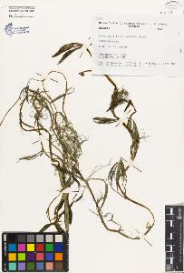SW_BNB_s3080-04237_IMG-0000000001