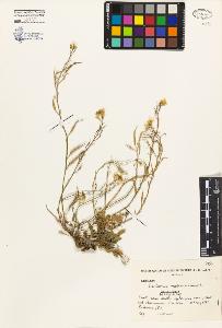 SW_BNB_s3080-04238_IMG-0000000001