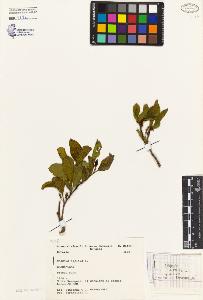 SW_BNB_s3080-04243_IMG-0000000001