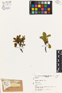 SW_BNB_s3080-04246_IMG-0000000001
