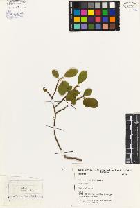 SW_BNB_s3080-04247_IMG-0000000001