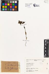 SW_BNB_s3080-04252_IMG-0000000001