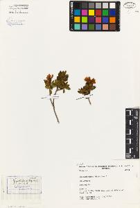 SW_BNB_s3080-04264_IMG-0000000001