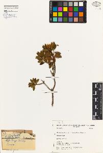SW_BNB_s3080-04268_IMG-0000000001