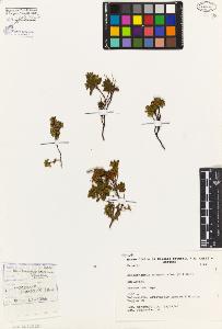 SW_BNB_s3080-04269_IMG-0000000001