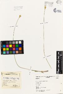 SW_BNB_s3080-04271_IMG-0000000001