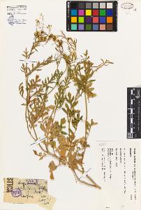 SW_BNB_s3080-04281_IMG-0000000001