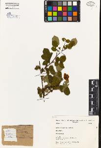 SW_BNB_s3080-04285_IMG-0000000001