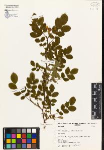 SW_BNB_s3080-04288_IMG-0000000001