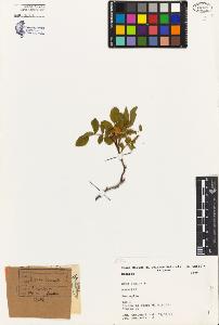 SW_BNB_s3080-04289_IMG-0000000001