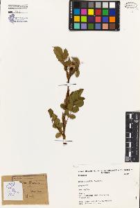 SW_BNB_s3080-04292_IMG-0000000001