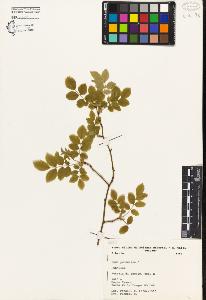 SW_BNB_s3080-04303_IMG-0000000001
