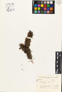SW_BNB_s3080-04306_IMG-0000000001