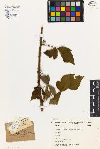 SW_BNB_s3080-04308_IMG-0000000001