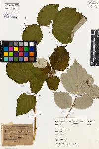 SW_BNB_s3080-04313_IMG-0000000001