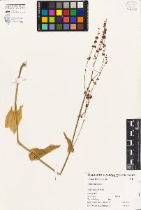SW_BNB_s3080-04318_IMG-0000000001