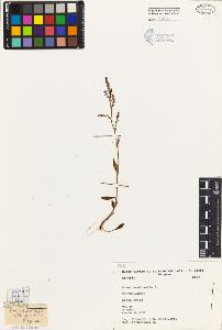 SW_BNB_s3080-04320_IMG-0000000001