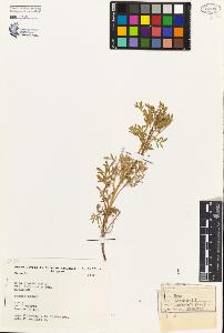 SW_BNB_s3080-04332_IMG-0000000001
