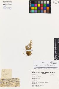 SW_BNB_s3080-04333_IMG-0000000001