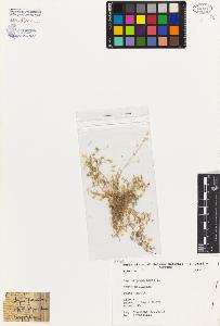 SW_BNB_s3080-04334_IMG-0000000001