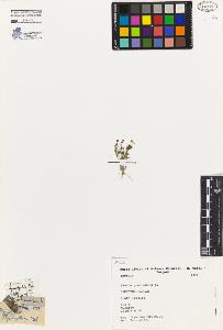SW_BNB_s3080-04336_IMG-0000000001