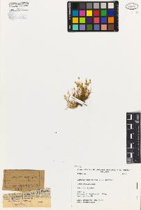 SW_BNB_s3080-04337_IMG-0000000001