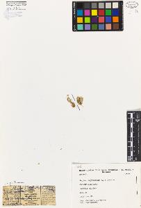 SW_BNB_s3080-04338_IMG-0000000001