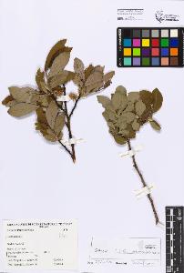 SW_BNB_s3080-04345_IMG-0000000001