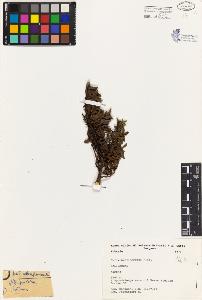 SW_BNB_s3080-04346_IMG-0000000001