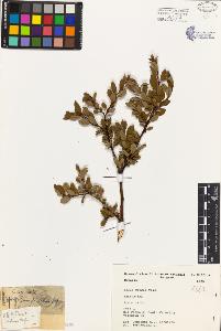 SW_BNB_s3080-04347_IMG-0000000001
