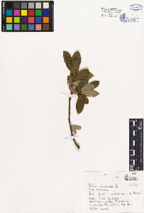 SW_BNB_s3080-04352_IMG-0000000001