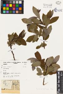SW_BNB_s3080-04353_IMG-0000000001