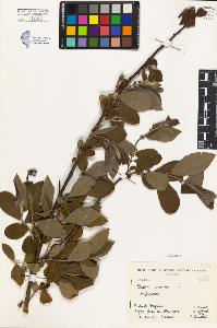 SW_BNB_s3080-04354_IMG-0000000001