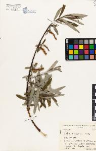 SW_BNB_s3080-04359_IMG-0000000001