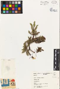SW_BNB_s3080-04360_IMG-0000000001