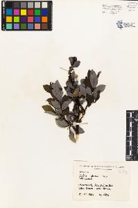 SW_BNB_s3080-04364_IMG-0000000001
