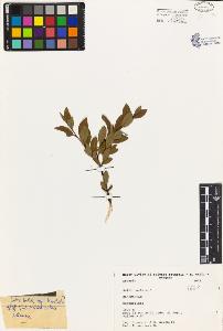 SW_BNB_s3080-04365_IMG-0000000001