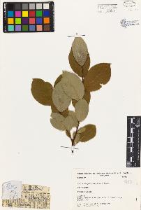 SW_BNB_s3080-04366_IMG-0000000001