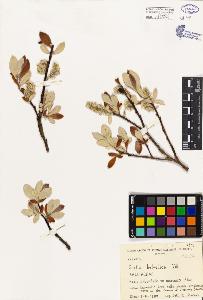 SW_BNB_s3080-04367_IMG-0000000001
