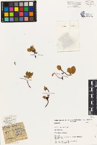 SW_BNB_s3080-04368_IMG-0000000001