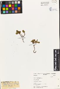 SW_BNB_s3080-04369_IMG-0000000001